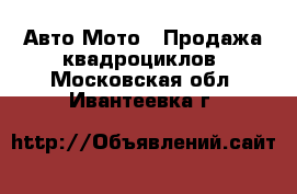 Авто Мото - Продажа квадроциклов. Московская обл.,Ивантеевка г.